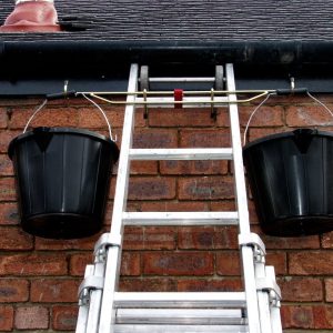 ladder.mate2