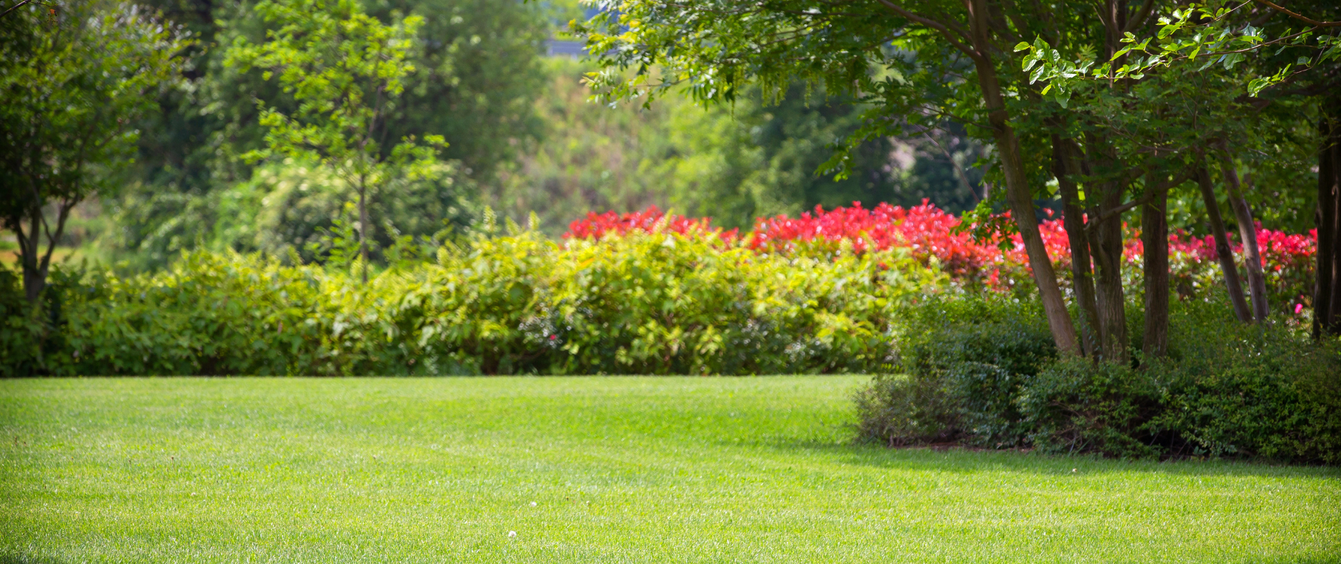 garden banner